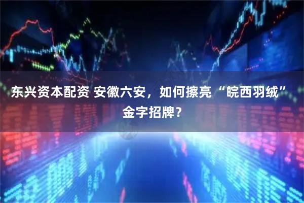 东兴资本配资 安徽六安,如何擦亮 “皖西羽绒” 金字招牌?