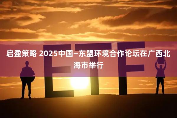 启盈策略 2025中国—东盟环境合作论坛在广西北海市举行