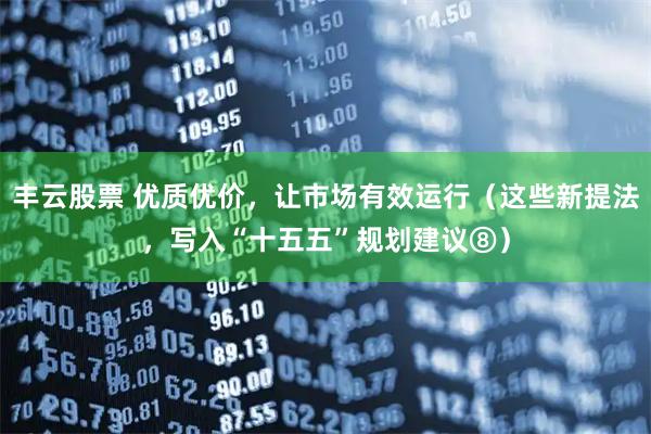 丰云股票 优质优价，让市场有效运行（这些新提法，写入“十五五”规划建议⑧）